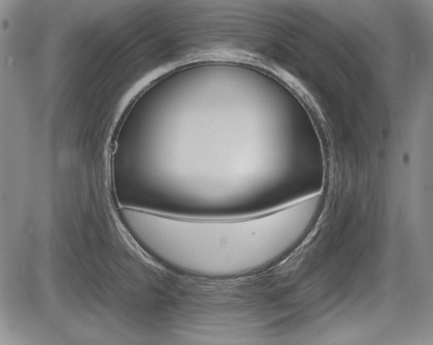 X0000085791238200703160925