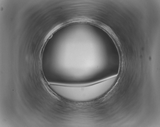 X0000085791242200703160925