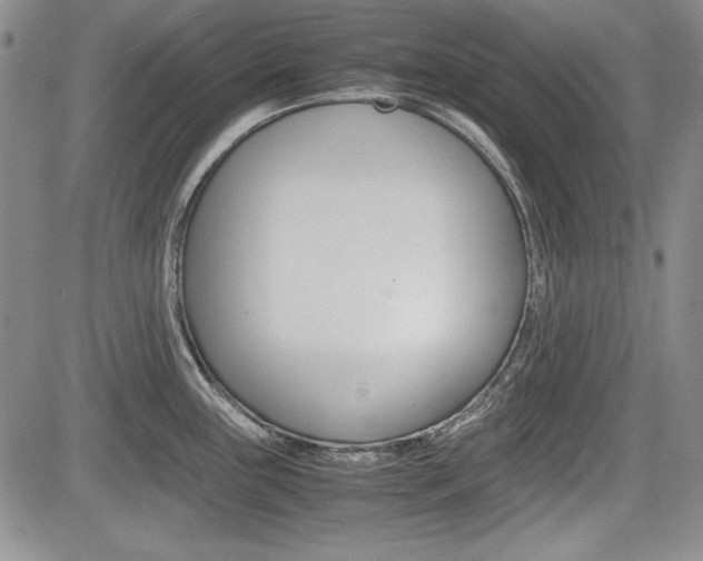 X0000085791243200703160925