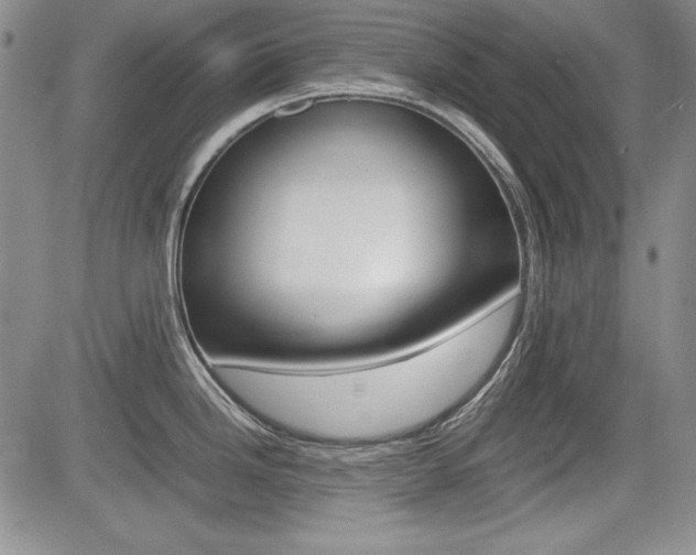X0000085791246200703160925