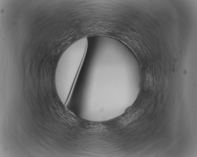 X0000085791250200703160925