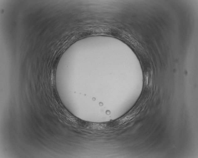 X0000085791251200703160925