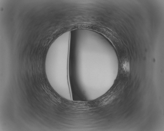 X0000085791252200703160925