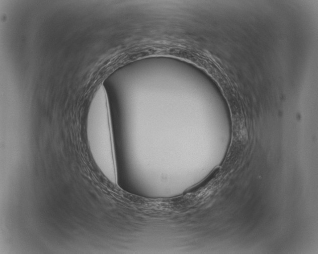 X0000085791253200703160925