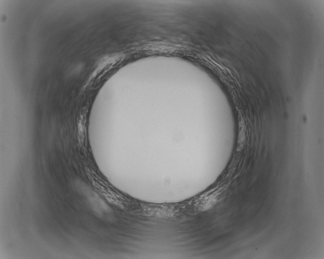 X0000085791254200703160925