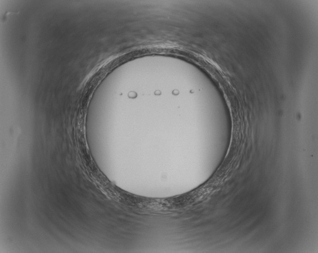 X0000085791255200703160925