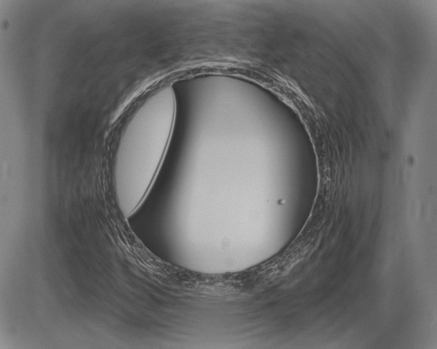 X0000085791256200703160925