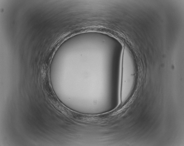 X0000085791257200703160925