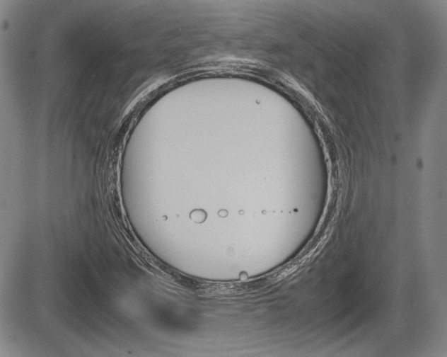 X0000085791259200703160924