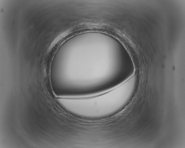 X0000085791261200703160924