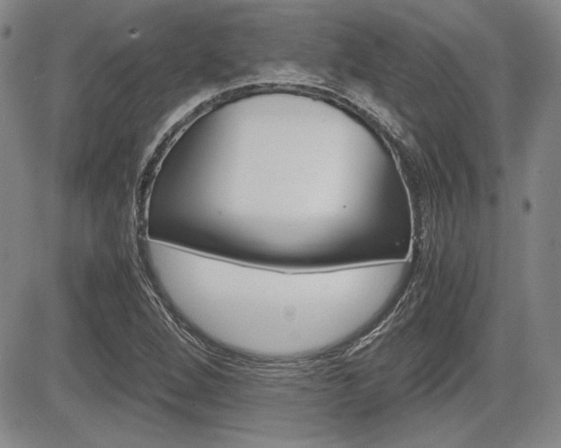 X0000085791264200703160924