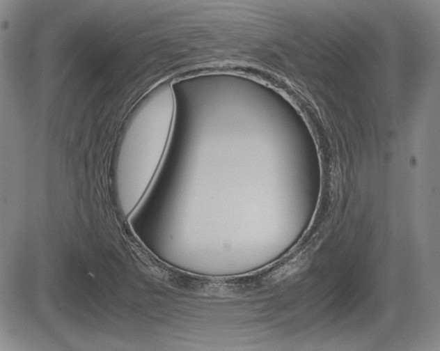 X0000085791265200703160924