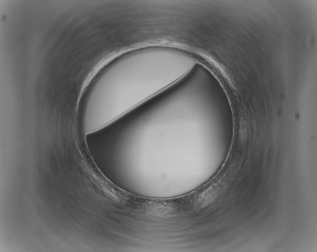 X0000085791270200703160924