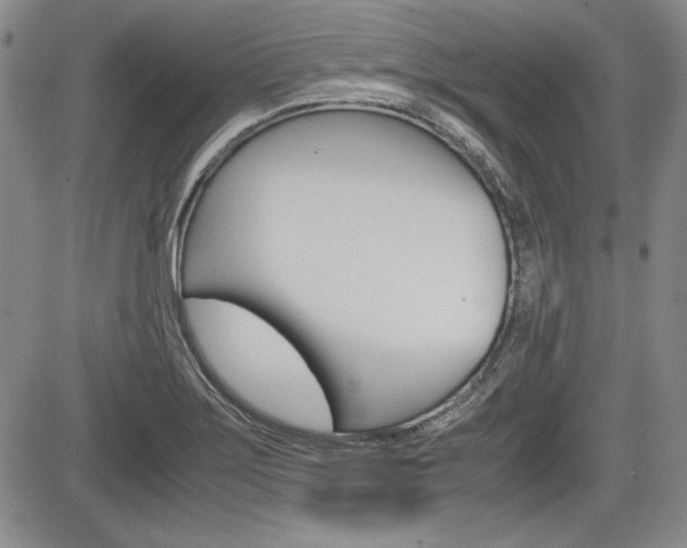 X0000085791275200703160924