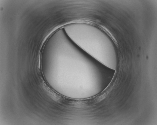 X0000085791276200703160924