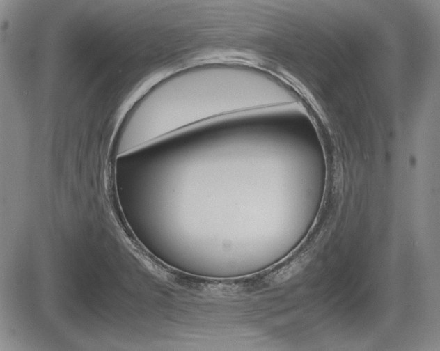 X0000085791277200703160924