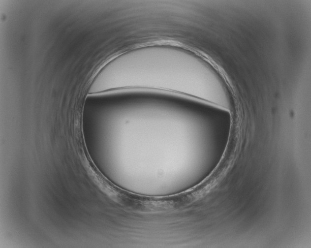 X0000085791281200703160924