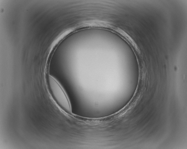 X0000085791285200703160924