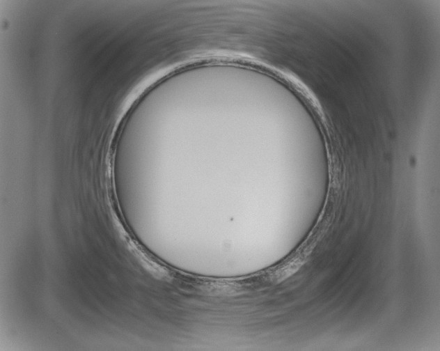 X0000085791287200703160924