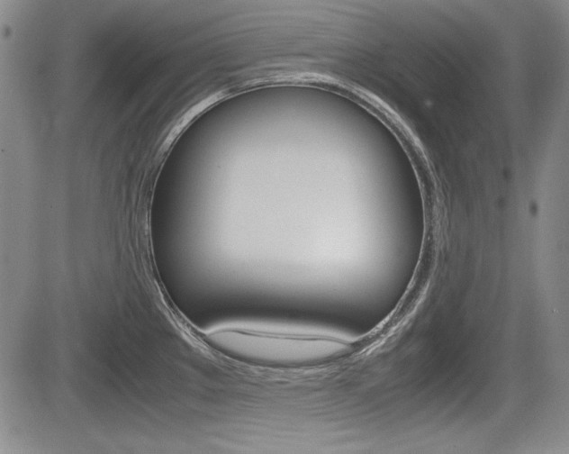 X0000085791289200703160924