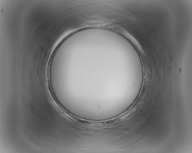 X0000085791291200703160924