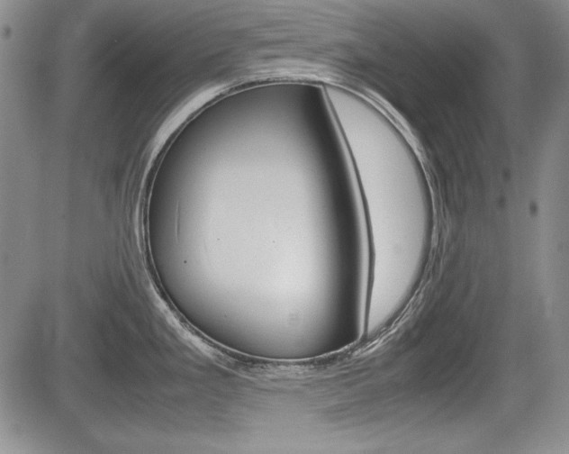 X0000085791293200703160924