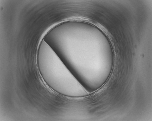 X0000085791296200703160924