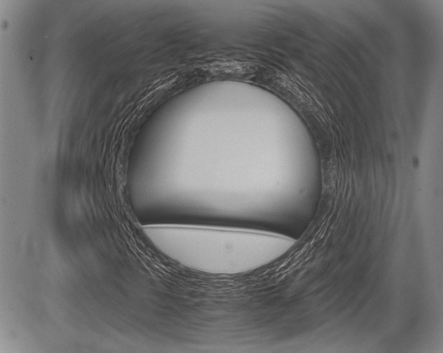 X0000085791297200703160923