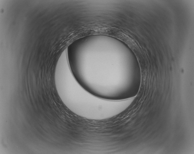 X0000085791298200703160923