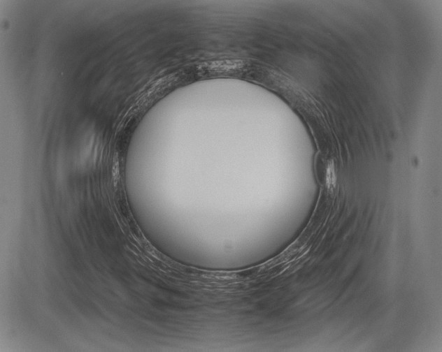 X0000085791299200703160923