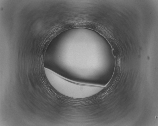 X0000085791300200703160923