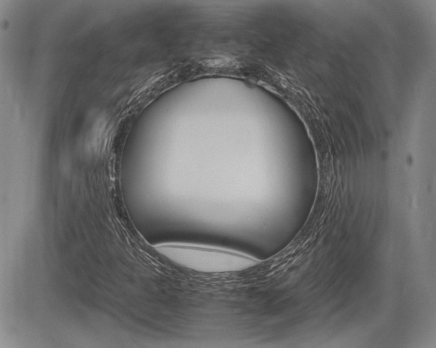 X0000085791301200703160923