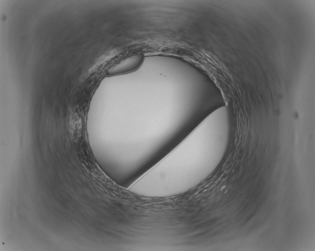 X0000085791302200703160923