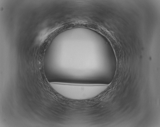 X0000085791303200703160923