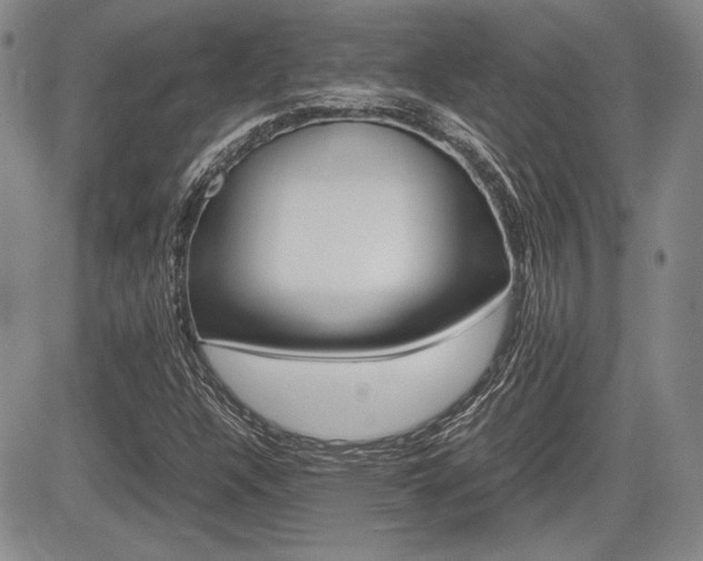 X0000085791304200703160923
