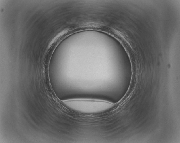 X0000085791307200703160923