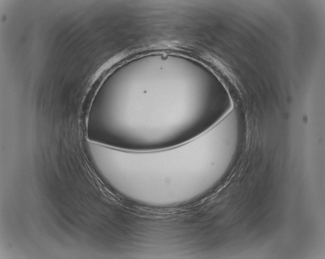 X0000085791308200703160923