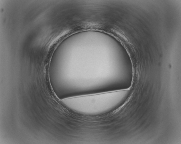 X0000085791309200703160923