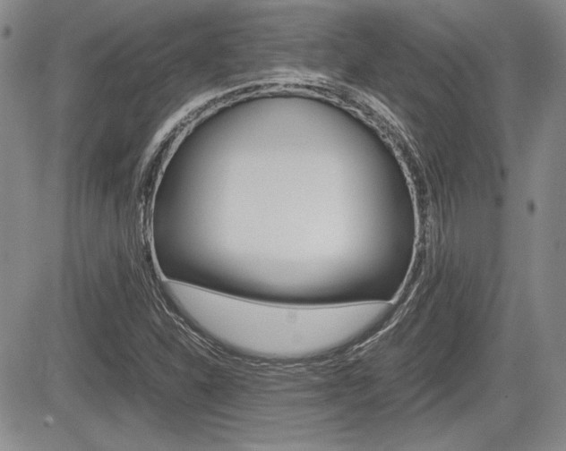 X0000085791310200703160923