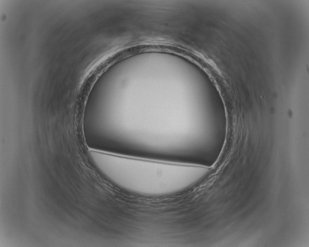 X0000085791311200703160923