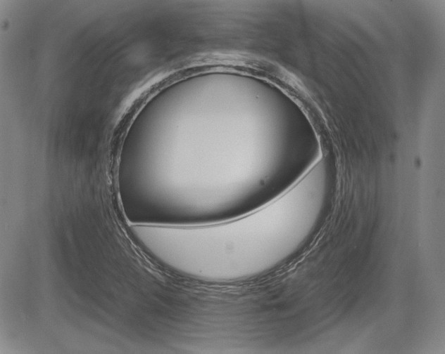 X0000085791312200703160923