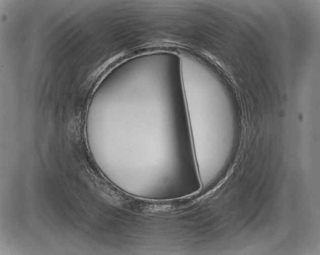 X0000085791313200703160923