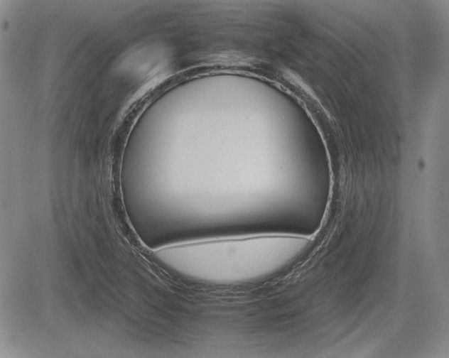 X0000085791315200703160923