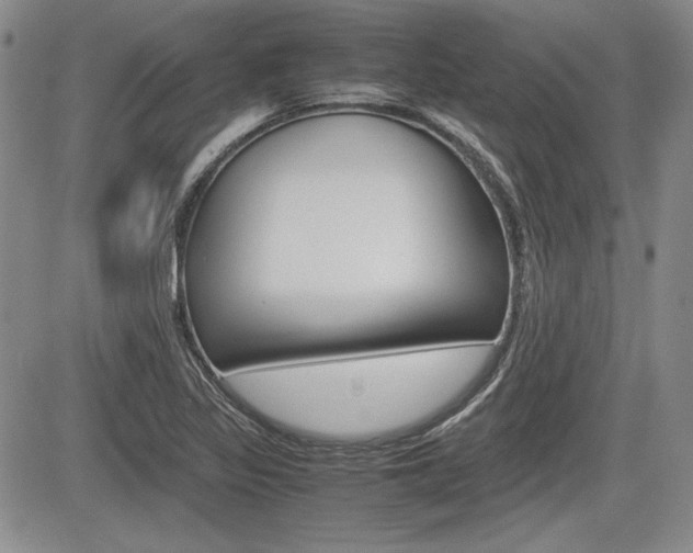 X0000085791317200703160923