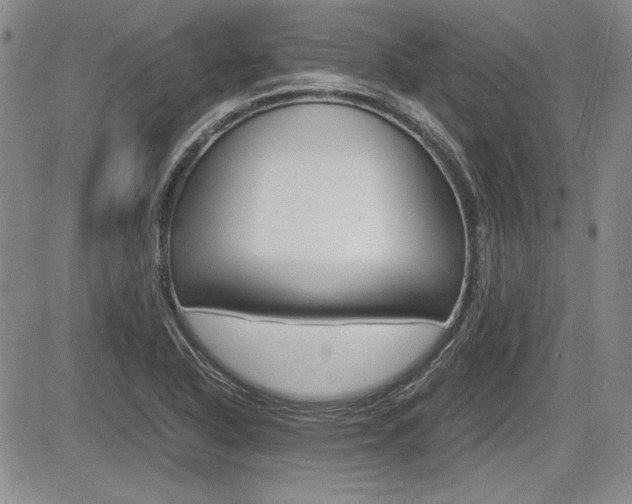 X0000085791318200703160923