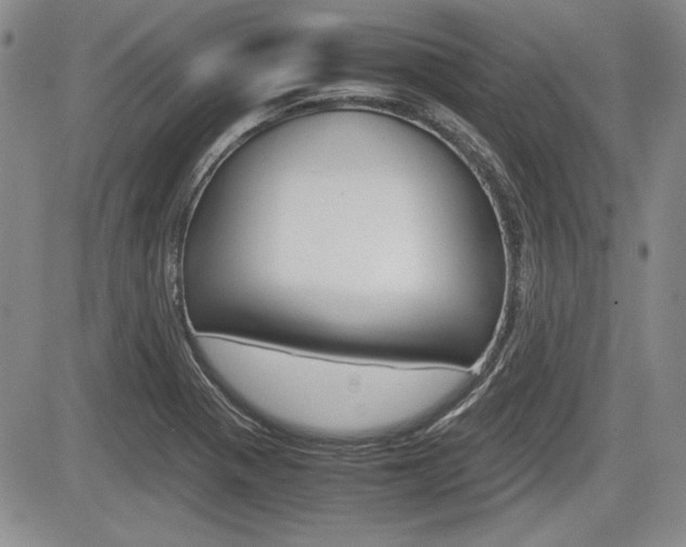 X0000085791321200703160923