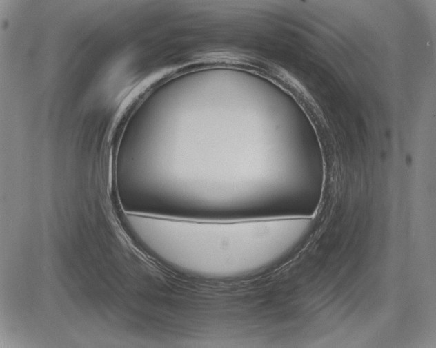 X0000085791323200703160923