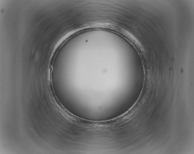 X0000085791324200703160924