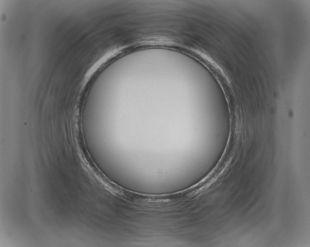 X0000085791325200703160924