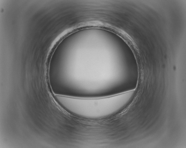 X0000085791326200703160924